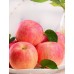 Яблоня розово-красная "Фуджи" (средне-поздний срок созревания)